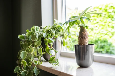 Pot Mayk - D23/H23cm Grijs - afbeelding 3