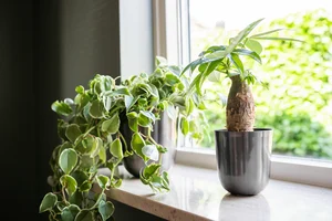 Pot Mayk - D23/H23cm Grijs - afbeelding 3