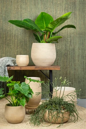 Pot Ryan - D15/H13cm Shiny Sand - afbeelding 4