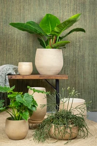 Pot Ryan - D15/H13cm Shiny Sand - afbeelding 4