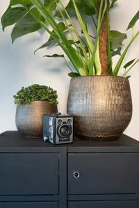 Pot Ryan - D22/H20cm Shiny Gold - afbeelding 3