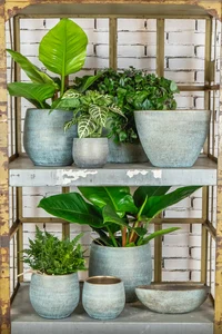 Pot Ryan - D26/H26cm Shiny Blue - afbeelding 2