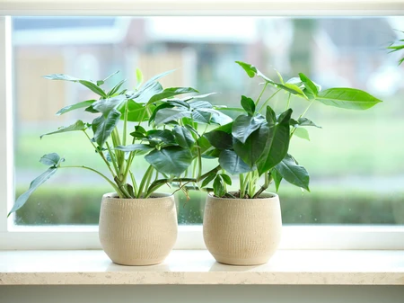 Pot Ryan - D26/H26cm Shiny Sand - afbeelding 4