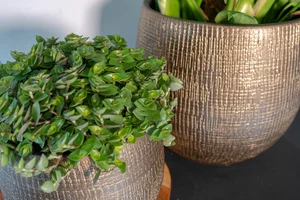 Pot Ryan Shiny Gold Goud - H 28 x D 31 cm - afbeelding 3