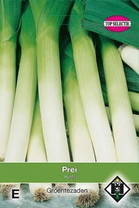 Prei 'Porbella' - Blauwgroene Herfst - afbeelding 1