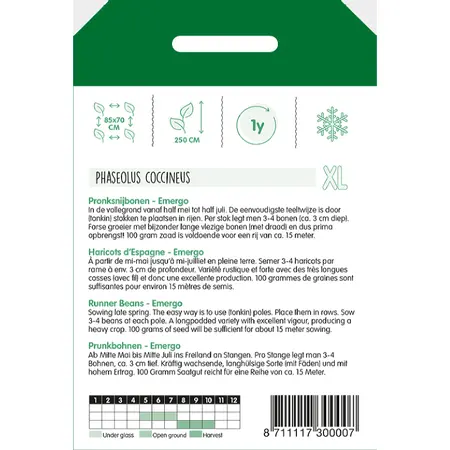 Pronksnijbonen 'Emergo' - afbeelding 2