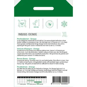 Pronksnijbonen 'Emergo' - afbeelding 2