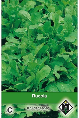 Rucola