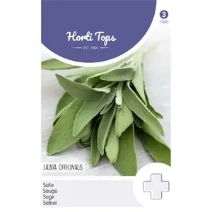 Salie - afbeelding 1