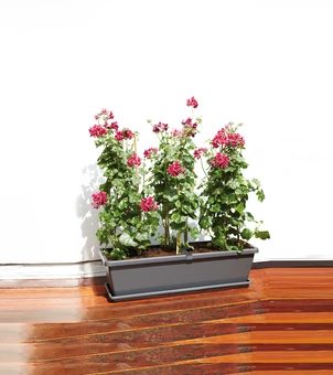 Schotel Barcelona XL - 80cm - Antraciet - afbeelding 2