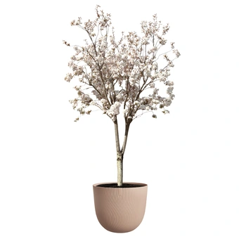 Sereh Rond - D30cm - Terra - afbeelding 6