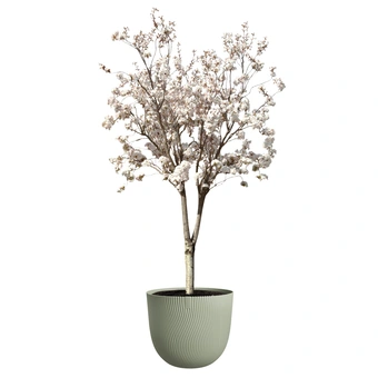 Sereh Rond - D40cm - Groen - afbeelding 6