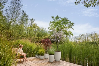 Sereh Rond - D47cm - Beige - afbeelding 7