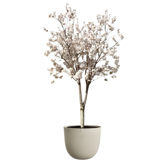 Sereh Rond - D59cm - Beige - afbeelding 6