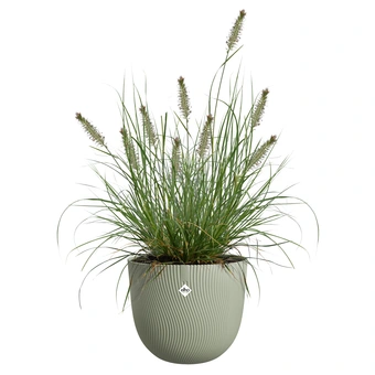 Sereh Rond - D59cm - Groen - afbeelding 5