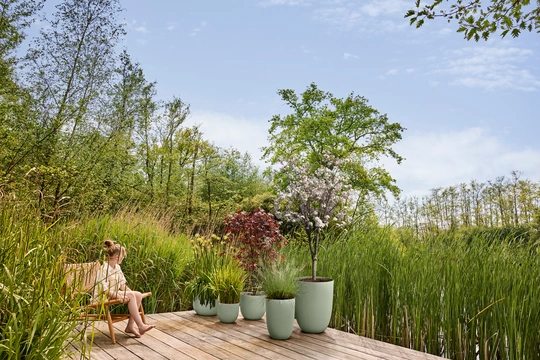 Sereh Rond - D59cm - Groen - afbeelding 7