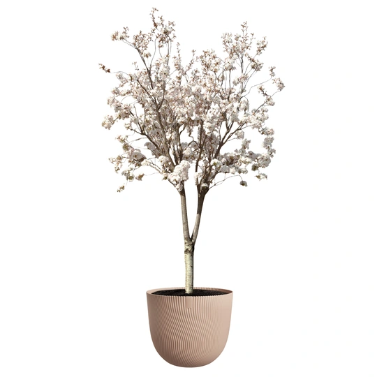 Sereh Rond - D59cm - Terra - afbeelding 6