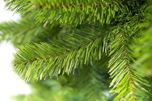 SLIM COLORADO TREE 150CM X 339 TIPS - afbeelding 2