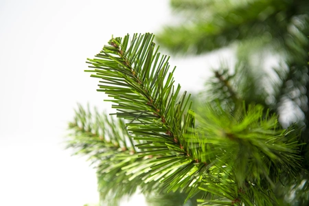 SLIM COLORADO TREE 150CM X 339 TIPS - afbeelding 3