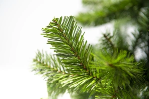 SLIM COLORADO TREE 150CM X 339 TIPS - afbeelding 3
