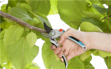 Snoeischaar Comfort Alu Luxe - Bypass - afbeelding 2