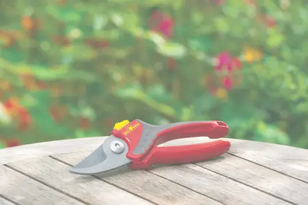 Snoeischaar Comfort Plus RR2500 - Bypass (Papegaaienbek) - afbeelding 3