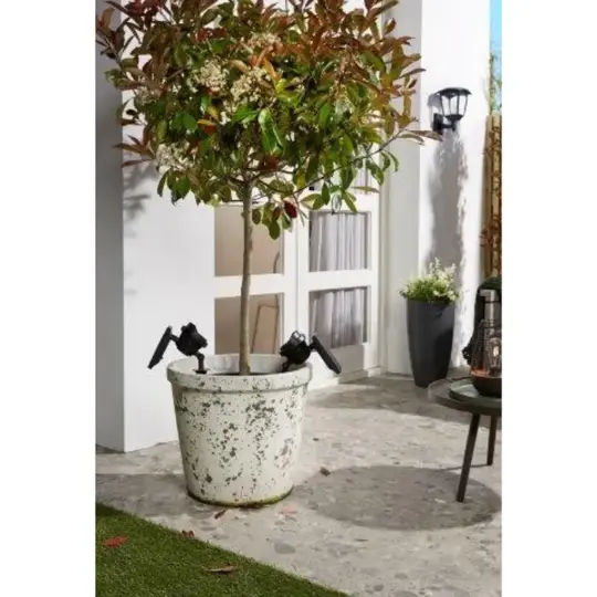 Solar Grondspot Texas - 120 Lumen - afbeelding 3