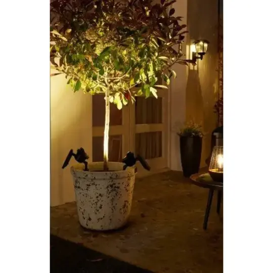 Solar Grondspot Texas - 120 Lumen - afbeelding 4