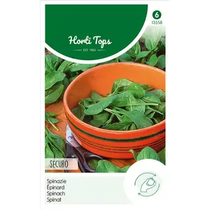 Spinazie 'Securo'