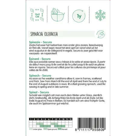 Spinazie 'Securo' - afbeelding 2