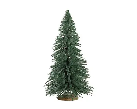 SPRUCE TREE, MEDIUM