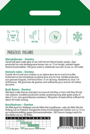 Stamslabonen 'Domino'/vh 'Paloma' - afbeelding 2