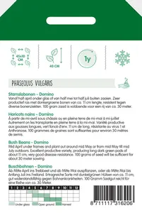 Stamslabonen 'Domino'/vh 'Paloma' - afbeelding 2