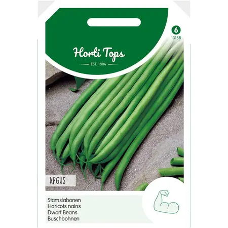 Stamslabonen Haricot Vert 'Argus' - afbeelding 1