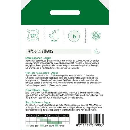 Stamslabonen Haricot Vert 'Argus' - afbeelding 2