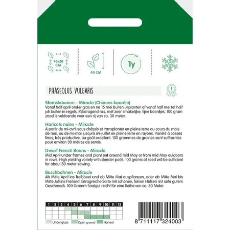 Stamslabonen 'Miracle' Chinees Boontje - afbeelding 2