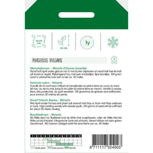 Stamslabonen 'Miracle' Chinees Boontje - afbeelding 2
