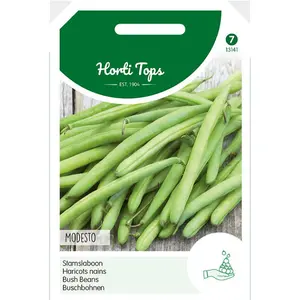 STAMSLABONEN MONTANO, 100G - afbeelding 2