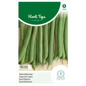 STAMSLABONEN PRELUDE, 250G - afbeelding 2