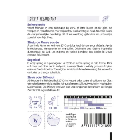 Stevia, Suikerplantje of Honingkruid - afbeelding 2