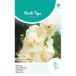 Stokroos 'Majorette Champagne' - afbeelding 1