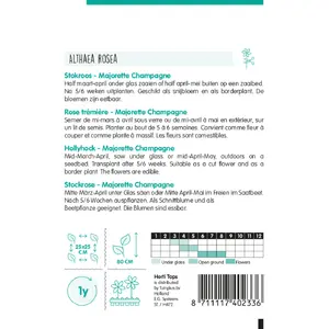 Stokroos 'Majorette Champagne' - afbeelding 2