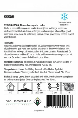 Stoksnijboon 'Limka' - afbeelding 2