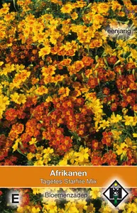 TAGETES TENUIFOLIA STARFIRE MIX - afbeelding 2