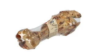 Timo Dinobot - afbeelding 2