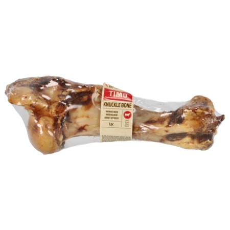 Timo Dinobot - afbeelding 1