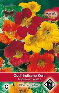 TROPAEOLUM M. N. ALASKA - afbeelding 2