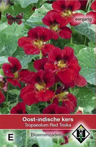 TROPAEOLUM M. RED TROIKA