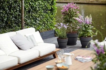 Tuin