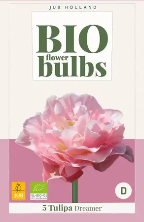 Tulp 'Dreamer' Bio